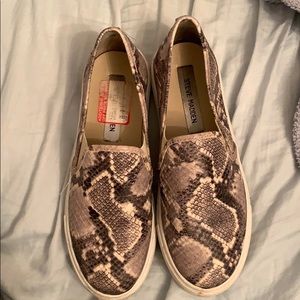 Steve Madden sz 7 snake skin sneaker